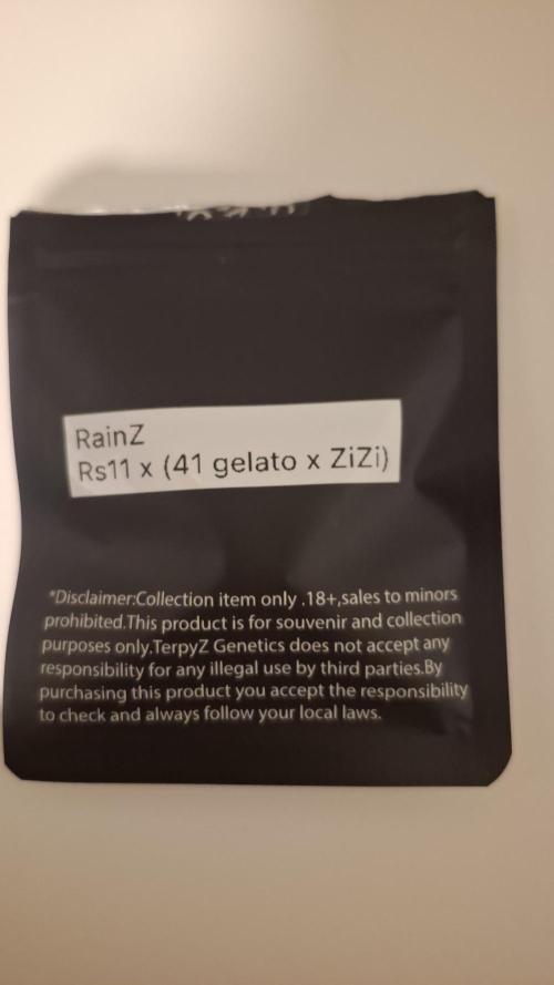 RainZ (RS11 x Gelato #41 x ZiZi) Reg.. Week 0
