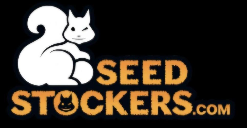 Blackberry Gum. Week 0