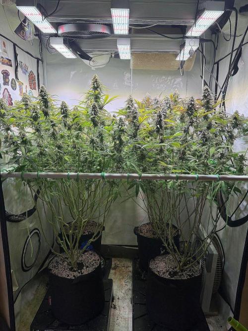 All about Terps. Week 14