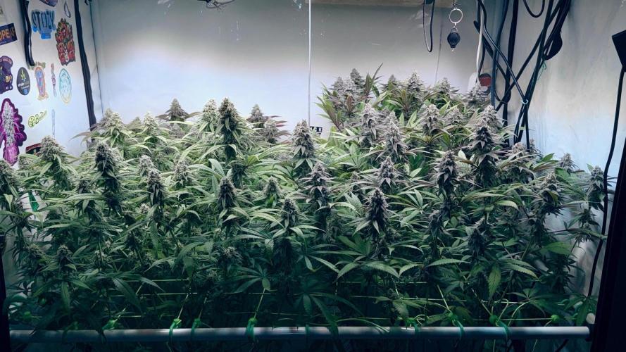 All about Terps. Week 14