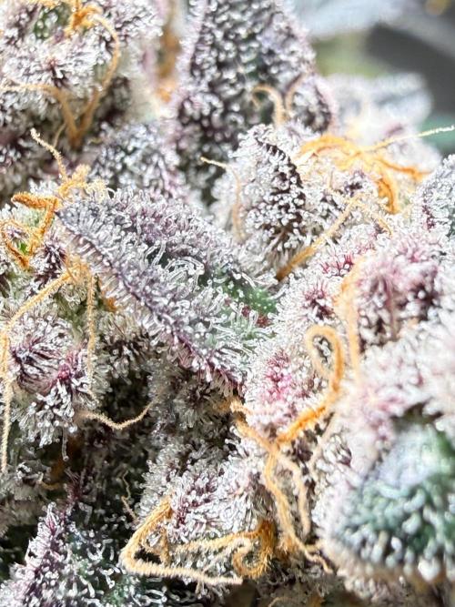 Fire in 40x40. Week 16