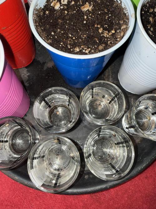 Time for Heavy Hitters. Week 0