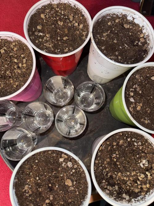 Time for Heavy Hitters. Week 0