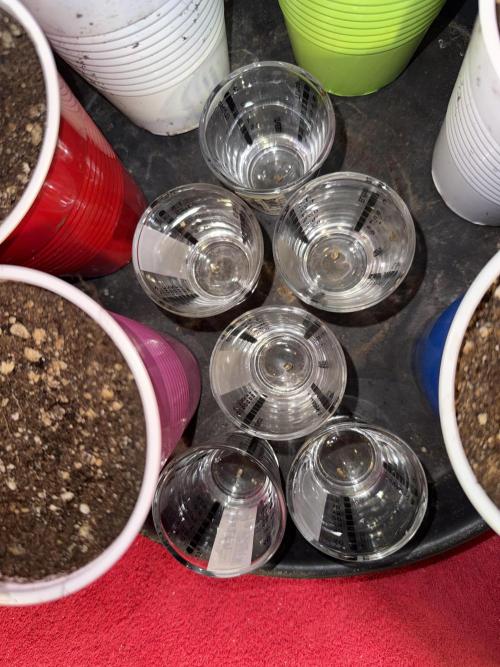 Time for Heavy Hitters. Week 0