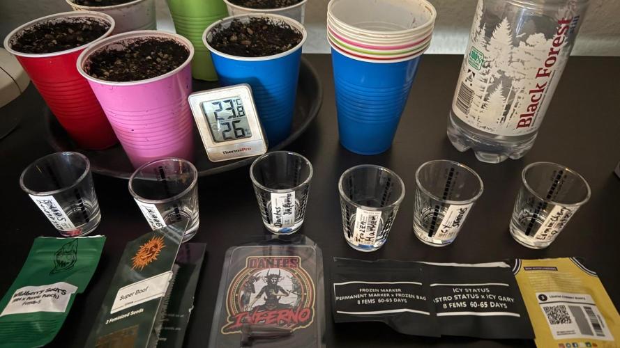 Time for Heavy Hitters. Week 0