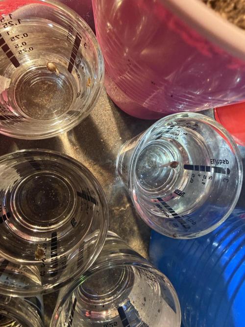 Time for Heavy Hitters. Week 0 - 48h