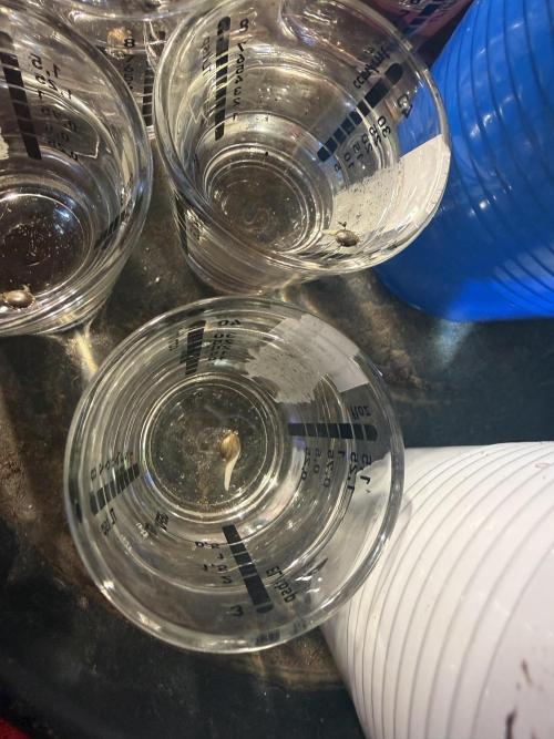 Time for Heavy Hitters. Week 0 - 48h