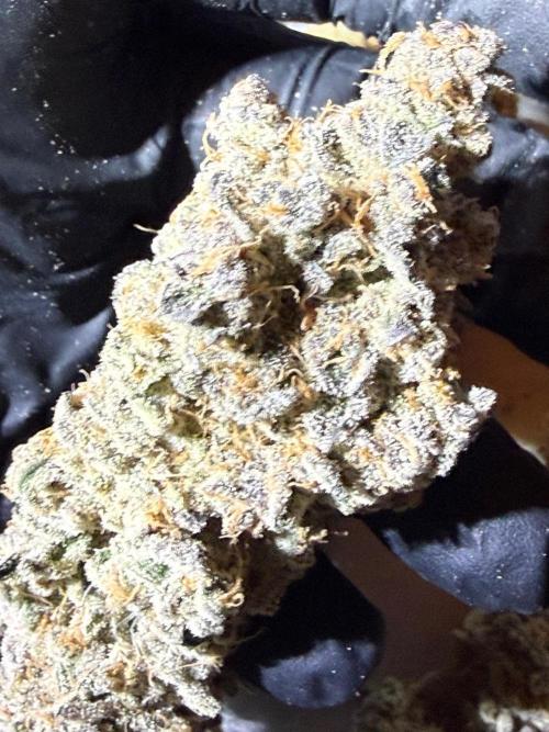 Fire in 40x40. Week 17