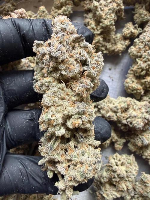 Fire in 40x40. Week 17