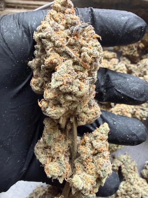 Fire in 40x40. Week 17