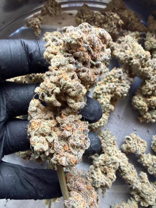 Fire in 40x40. Week 17