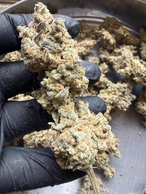 Fire in 40x40. Week 17