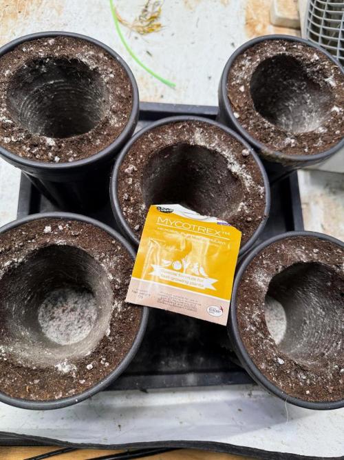 Time for Heavy Hitters. Week 2