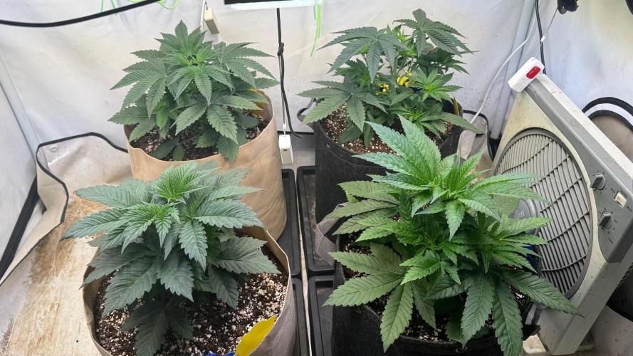 Time for Heavy Hitters. Week 4