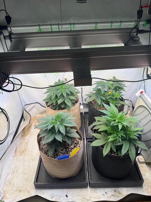 Time for Heavy Hitters. Week 4