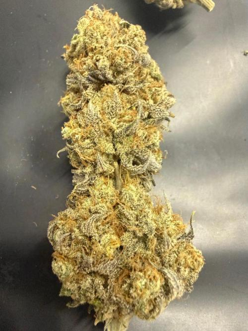 All about Terps. Week 19