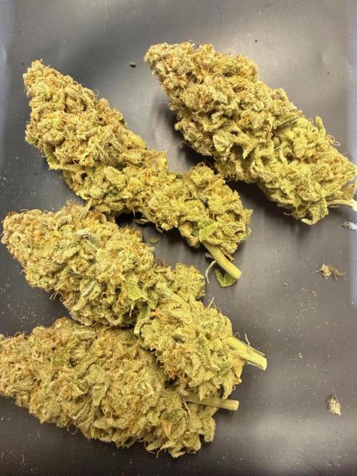 All about Terps. Week 19