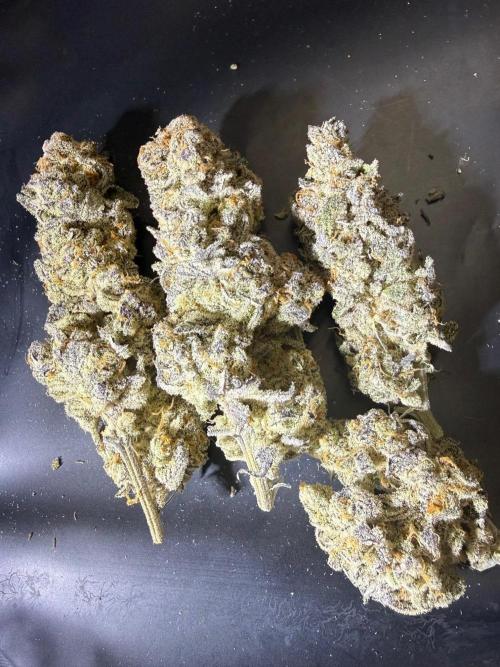 All about Terps. Week 19