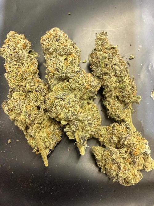 All about Terps. Week 19