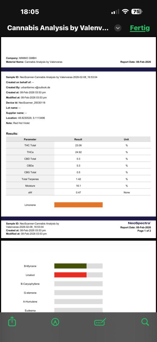 All about Terps. Week 19
