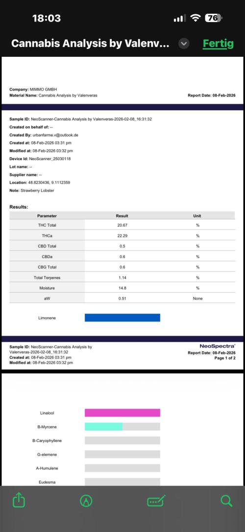 All about Terps. Week 19