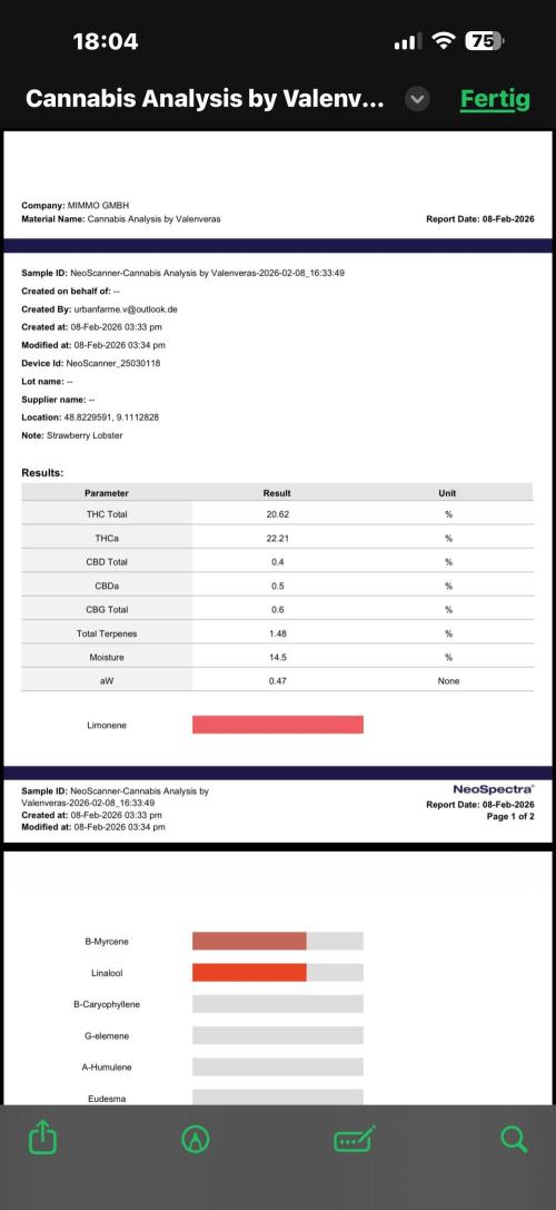All about Terps. Week 19
