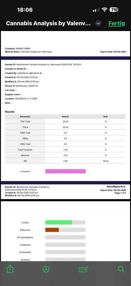 All about Terps. Week 19