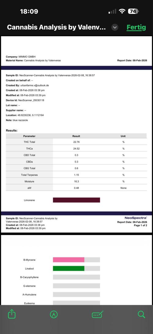 Fire in 40x40. Week 17