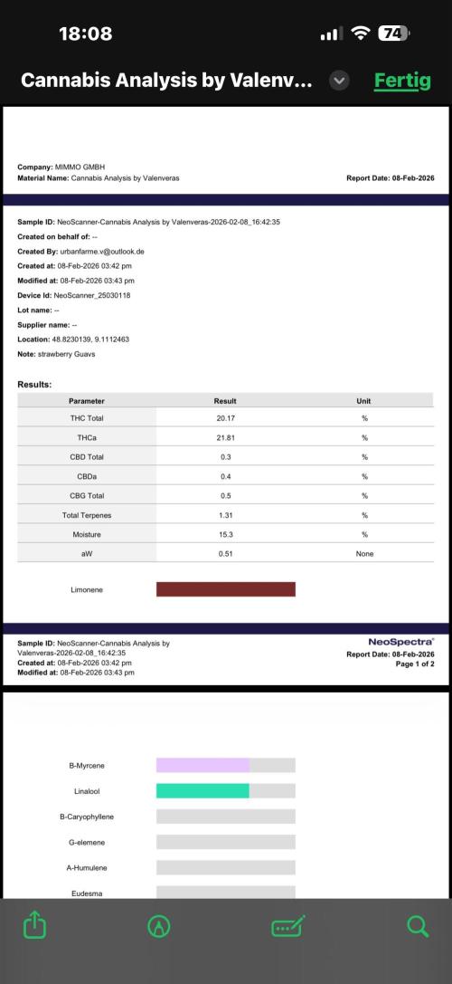All about Terps. Week 19