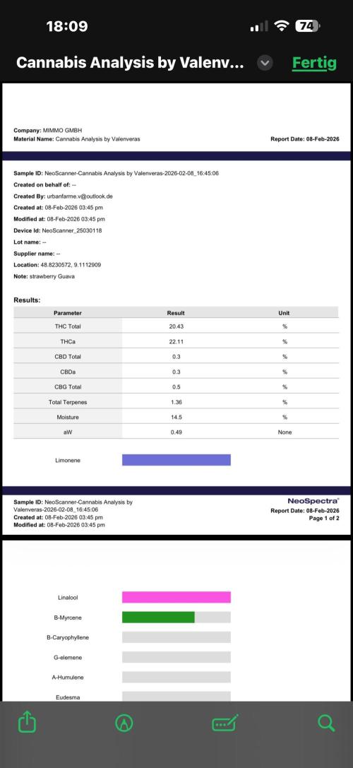 All about Terps. Week 19