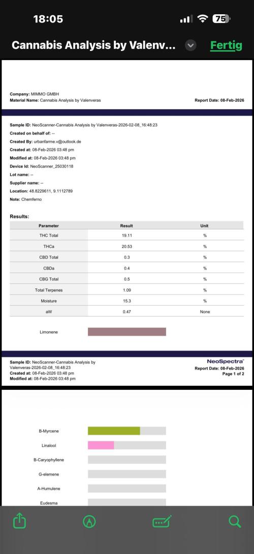 All about Terps. Week 19