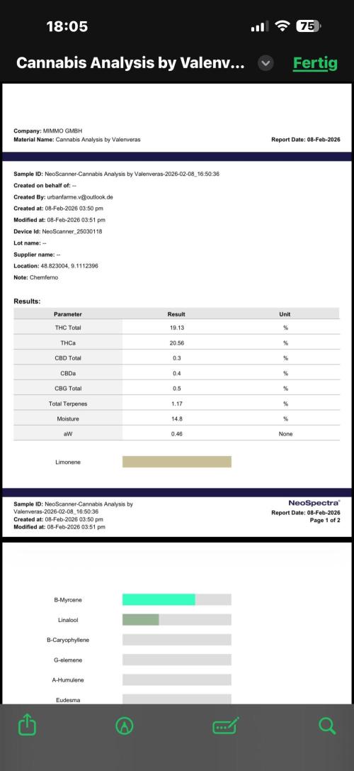 All about Terps. Week 19
