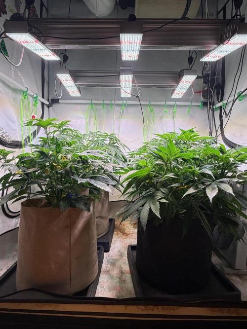 Time for Heavy Hitters. Week 6