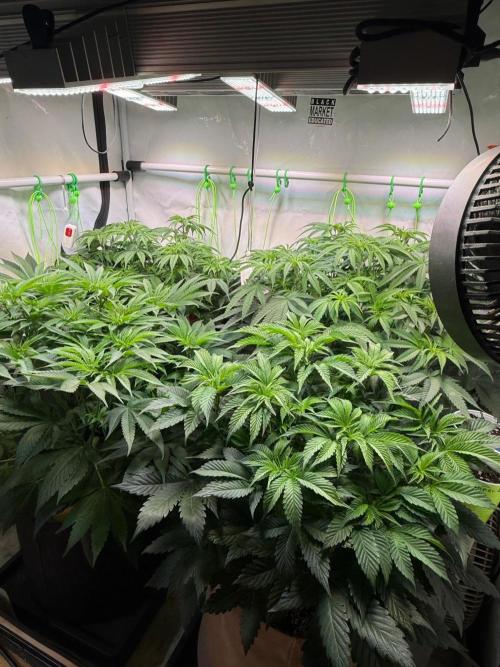 Time for Heavy Hitters. Week 7