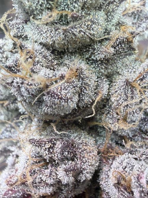 Time for Heavy Hitters. Week 19 - Super Boof