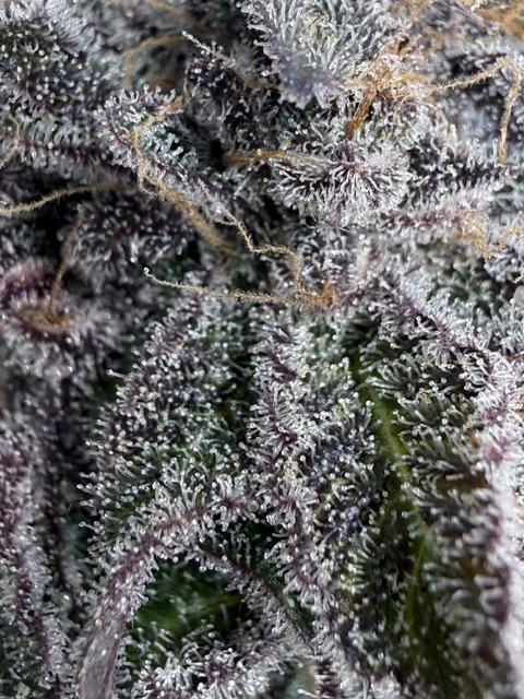 Time for Heavy Hitters. Week 22