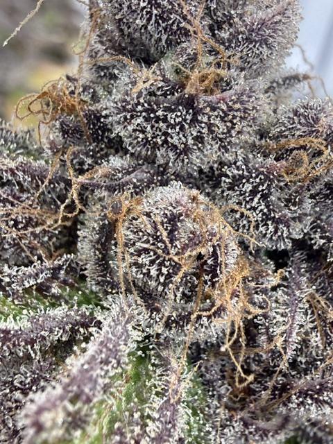 Time for Heavy Hitters. Week 22