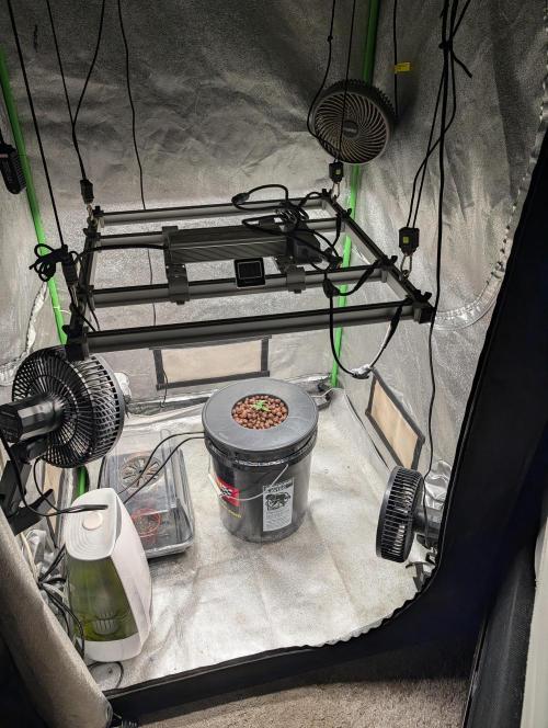 Expert seeds run. Week 1
