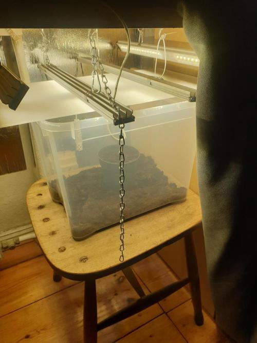 Serious 7. Week 0 - 30.12.25