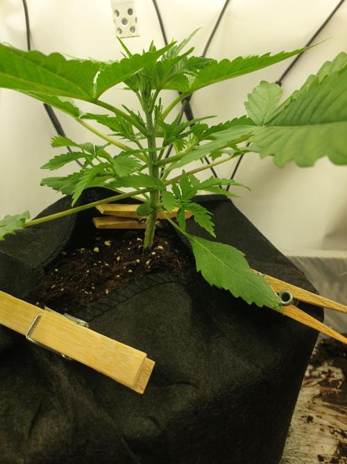 Serious 7. Week 2 - 16.01.26
