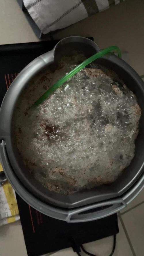 Fire n‘ Ice by Elev8 Seeds (using BioTabs)