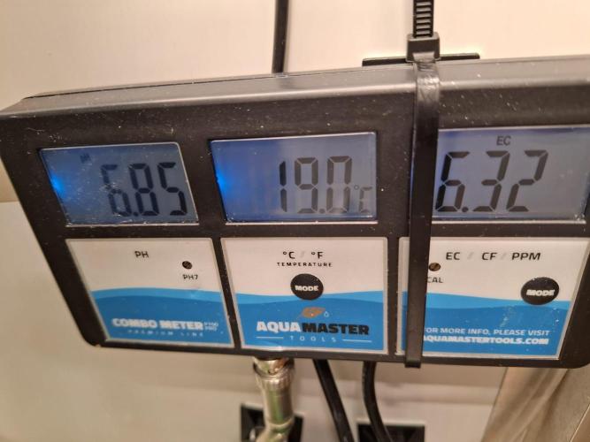 1 Pellezino cookies roomsize 0.35m². Week 8