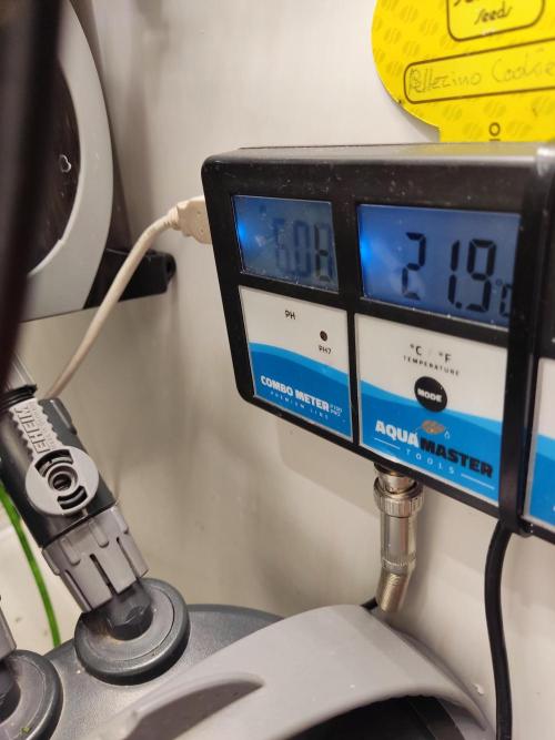 1 Pellezino cookies roomsize 0.35m². Week 10