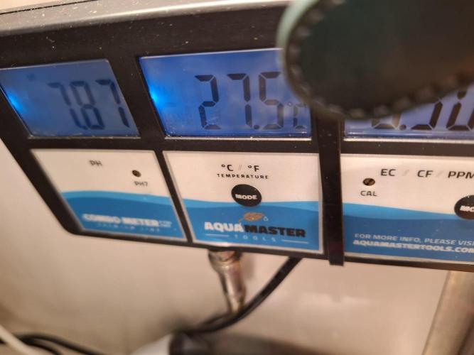 1 Pellezino cookies roomsize 0.35m². Week 13