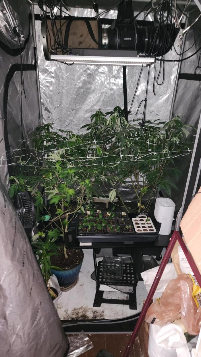 Smokey Joe's Grow. Week 8