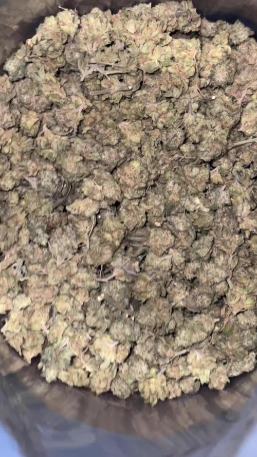 Permanent Pounder 🍔