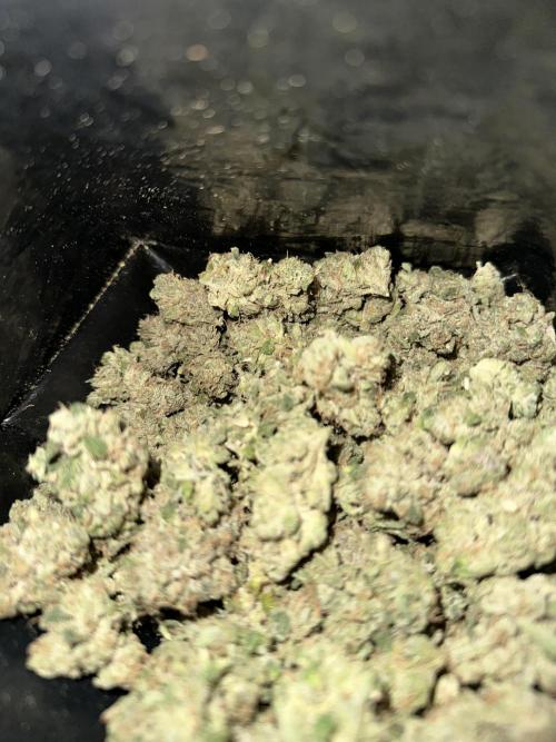 Zkittlez Cake x Chillz #8. Week 14