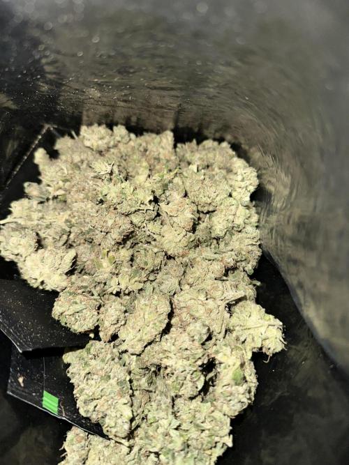 Zkittlez Cake x Chillz #8. Week 14