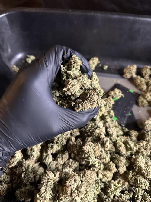 Zkittlez Cake x Chillz #8. Week 14