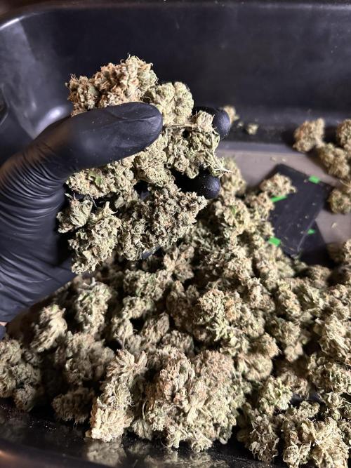 Zkittlez Cake x Chillz #8. Week 14